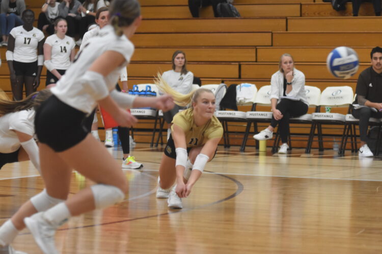 Tournament troubles News, Sports, Jobs Marshall Independent